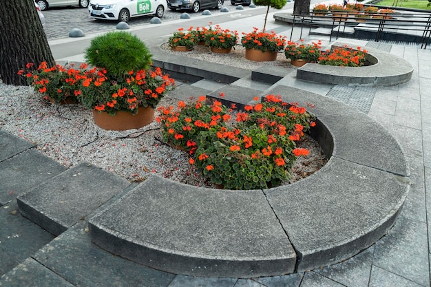 Flores en macetas y tinas en lugares como elemento de diseño y decoración.