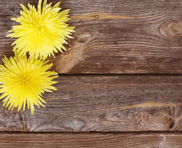 Flores en madera