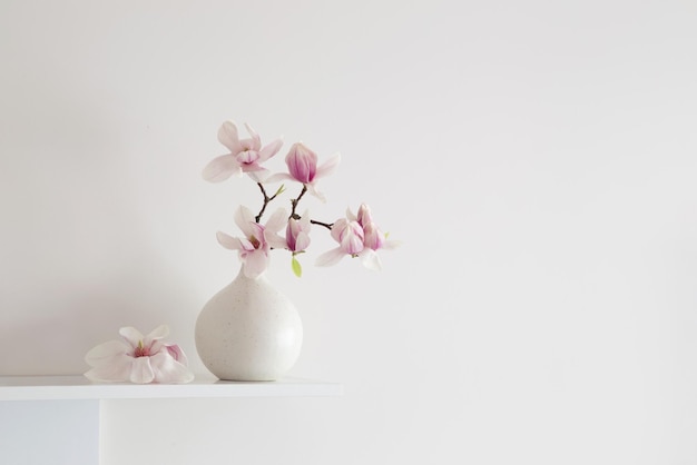 flores de magnolia en jarrón con fondo blanco