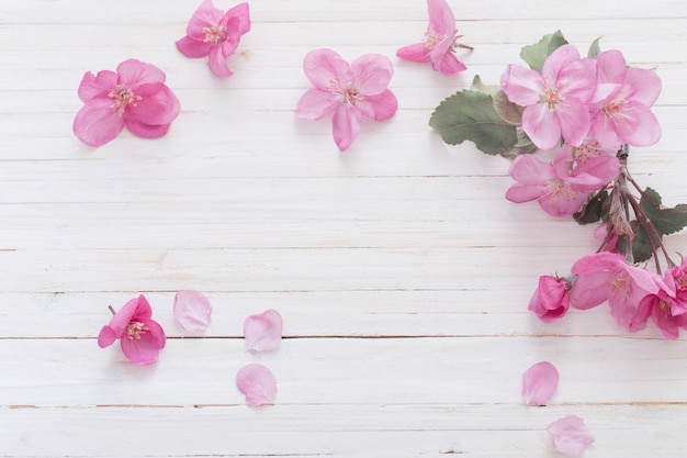 Flores de manzana sobre fondo de madera