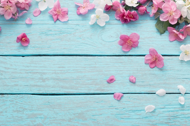 Flores de manzana sobre fondo de madera