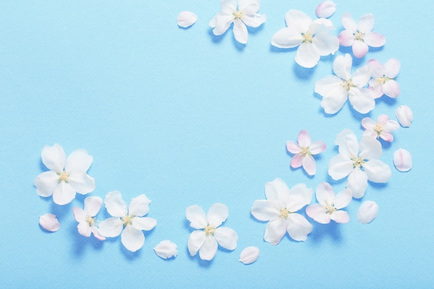 Flores de manzana sobre la superficie del papel azul