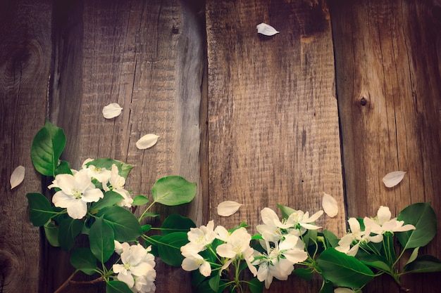 Flores de manzana sobre tabla de madera