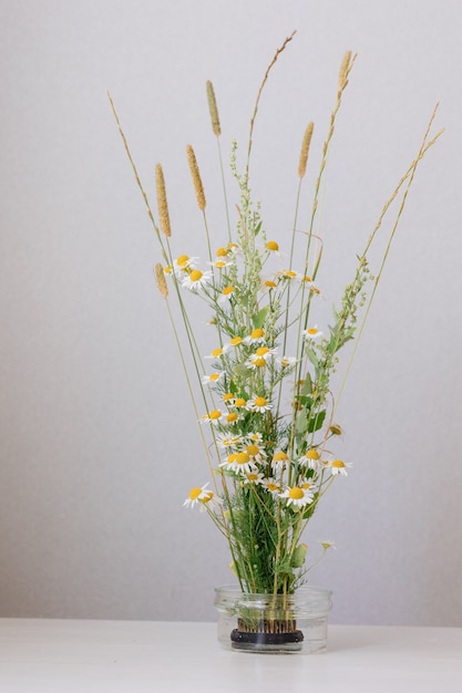 Flores de manzanilla en el ramo de novias o como regalo a una mujer un ramo de margaritas para un cumpleaños