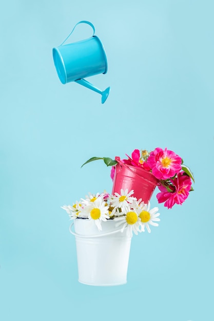 Flores de manzanilla y rosa mosqueta en cubos pequeños Fondo de pantalla de verano jugoso Fondo azul