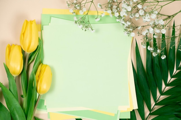 Flores de maqueta de primavera y un lugar para texto Hola marzo abril mayo feliz día de la mujer