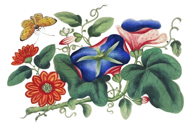 Flores mariposa pegatina png ilustración botánica de época fondo transparente
