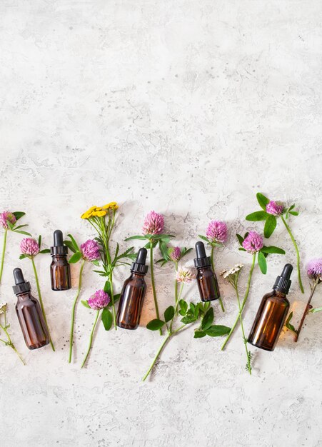 Foto flores medicinales hierbas aceites esenciales en botellas medicina alternativa trébol milenrama tanaceto adelfa