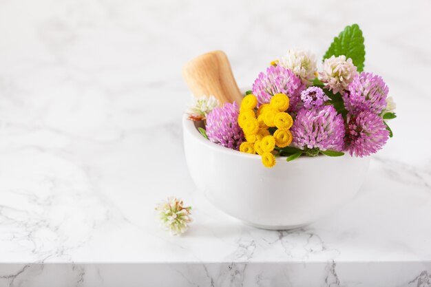 Flores medicinales hierbas en mortero. medicina alternativa. trébol tansy tomillo melisa