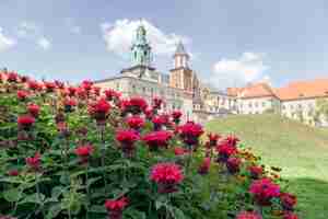 Foto flores de monarda rojas con un majestuoso castillo histórico que se eleva en el fondo de enfoque suave