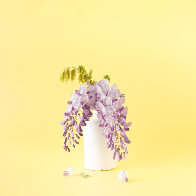 Flores moradas en botella de bebida blanca sobre fondo amarillo