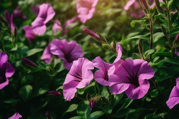 Flores moradas en un jardín IA generativa