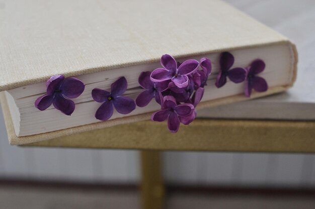 Flores moradas sobre una mesa con base dorada.