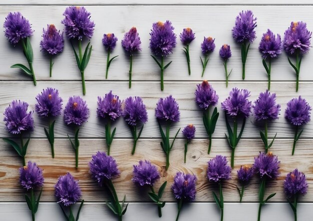 Flores moradas en una superficie de madera con una que dice 'primavera'