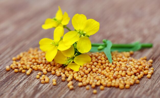 Flores de mostaza con semillas sobre superficie de madera