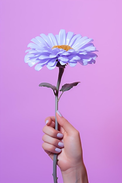 Foto flores mulher verão natureza conceito beleza violeta mãos floral rosa amor