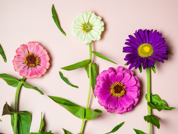 Flores multicolores brillantes en un espacio de copia de fondo rosa, para una postal y unas vacaciones