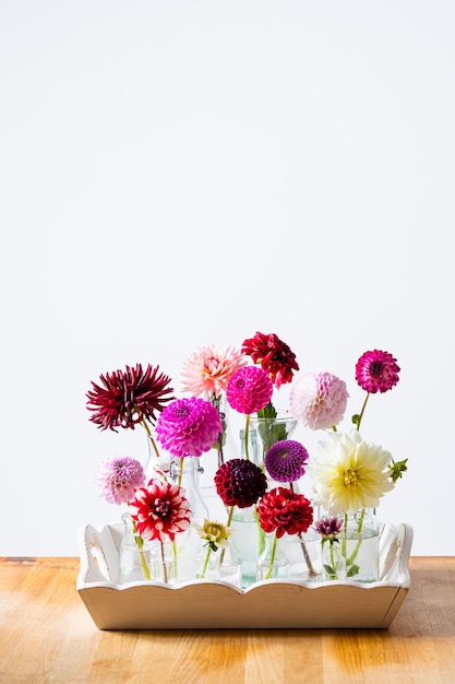 Las flores multicolores de dalia están en frascos de vidrio sobre un soporte de madera Las flores están sobre un soporte blanco contra una pared blanca