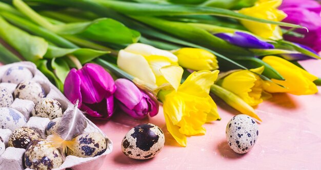 Flores multicolores de tulipanes y narcisos. Feliz pancarta de Pascua.