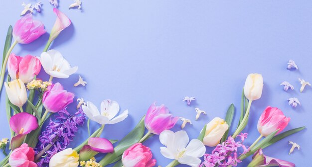 Flores multicoloridas da primavera na superfície azul