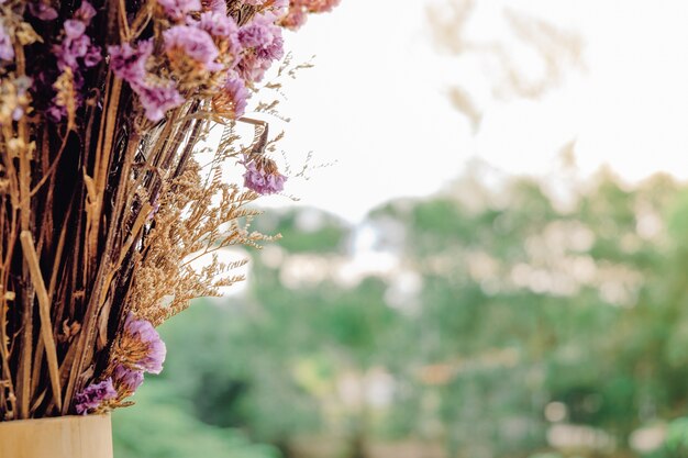 Flores multicoloridas secas em um vaso