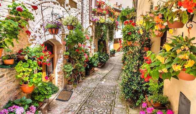 Flores na antiga rua localizada na aldeia Spello Umbria Region Itália