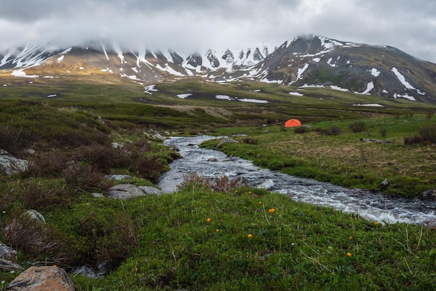 Flores naranjas de trollius y carpa naranja cerca de un arroyo de agua clara con vista a la cordillera entre nubes bajas de lluvia Paisaje dramático con arroyo de montaña y montañas nevadas en nubes bajas grises