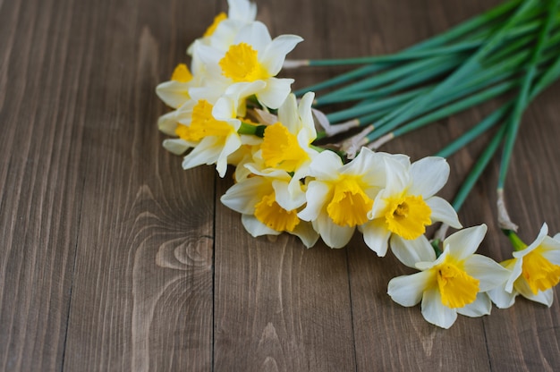 Flores de narciso