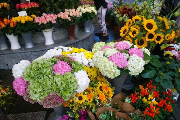 Flores nas ruas de viena. áustria.