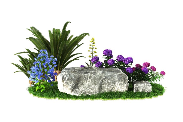Foto flores naturais e pedras no jardim isoladas em fundo branco resultante da renderização 3d