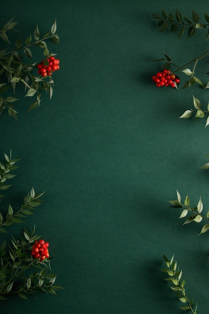 Flores de Navidad en un fondo verde aislado