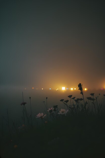 Flores en la niebla