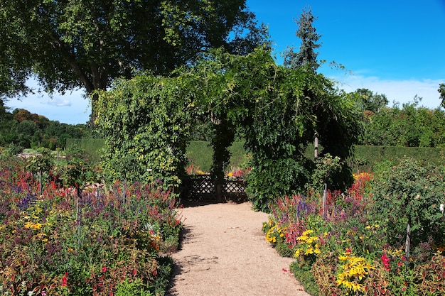 Flores no parque potsdam, alemanha