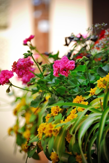 Flores no terraço do restaurante