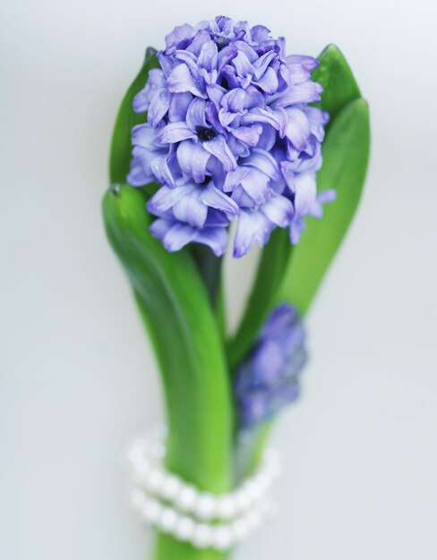 Flores para la novia