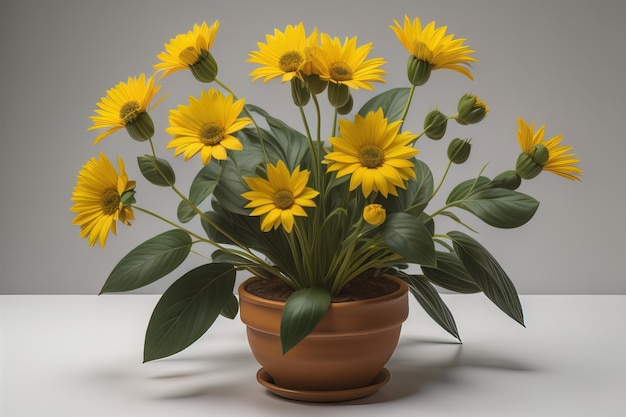 Flores en una olla sobre un fondo de color sólido