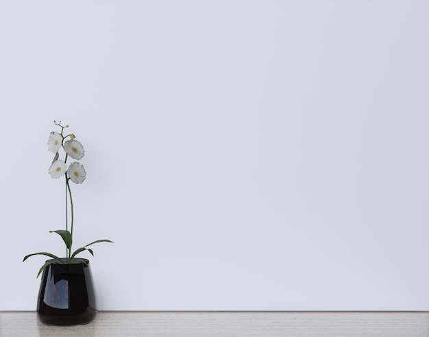 Flores de orquídea blancas en macetas negras sobre un fondo blanco