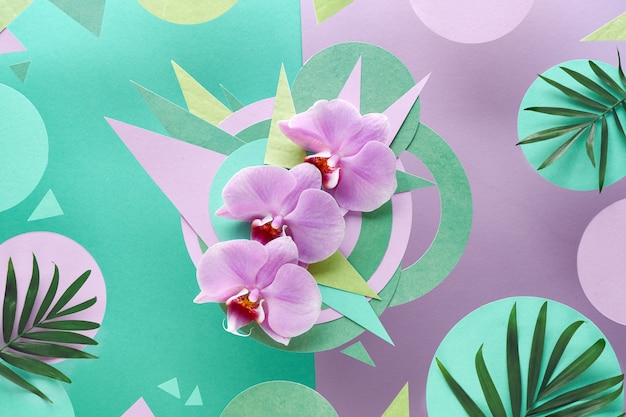 Flores de orquídeas con espacio de copia, papel foral en color rosa y menta