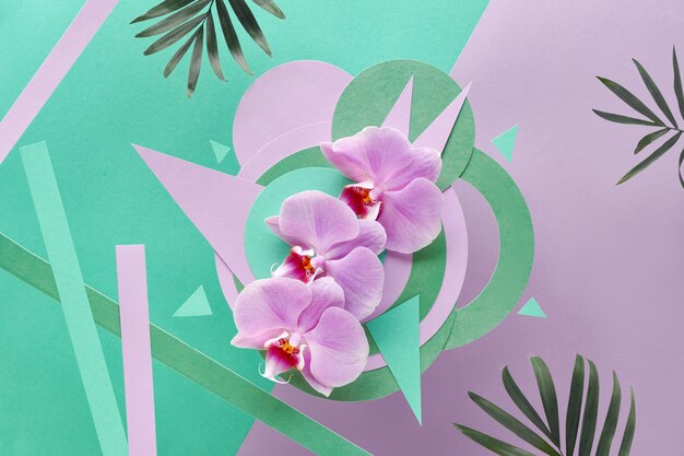 Foto flores de orquídeas en geométrico con espacio de copia, papel foral en color rosa y menta