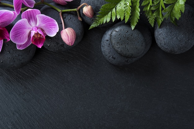 Foto flores de orquídeas y piedras de basalto sobre fondo negro.