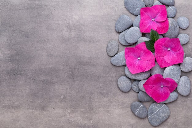 Flores de orquídeas con piedras de spa