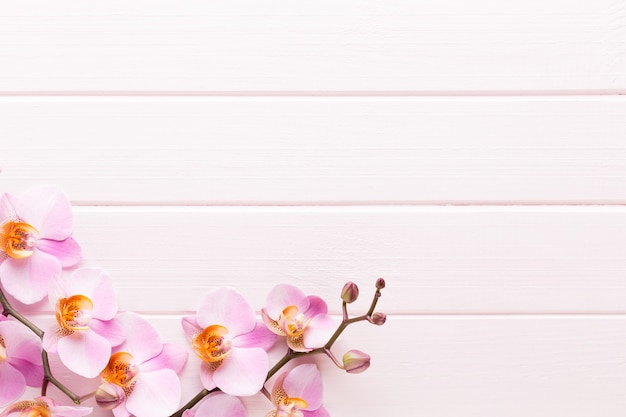 Flores de orquídeas en la superficie de madera