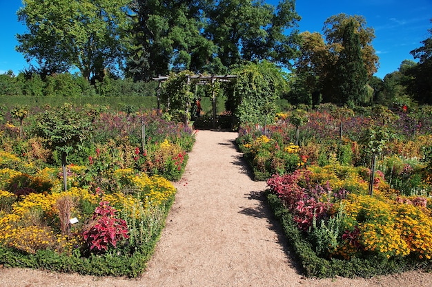 Flores en el parque de Potsdam, Alemania