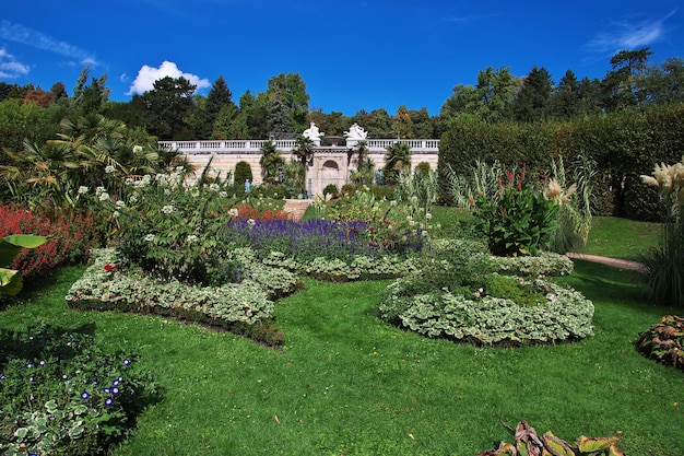 Flores en el parque de Potsdam, Alemania