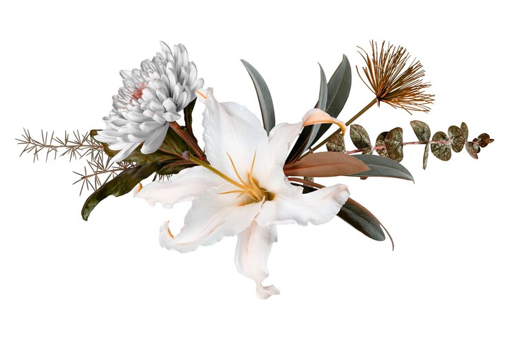Foto flores pegatina png greige diseño botánico estético en fondo transparente