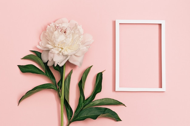 Flores de peonía blanca con hojas en rosa pastel y marco cuadrado blanco