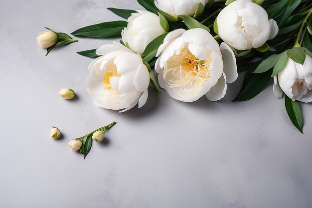 Foto flores de peonía blancas frescas en fondo de mesa gris claro lugar vacío para citas de texto o dichos sentimentales closeup