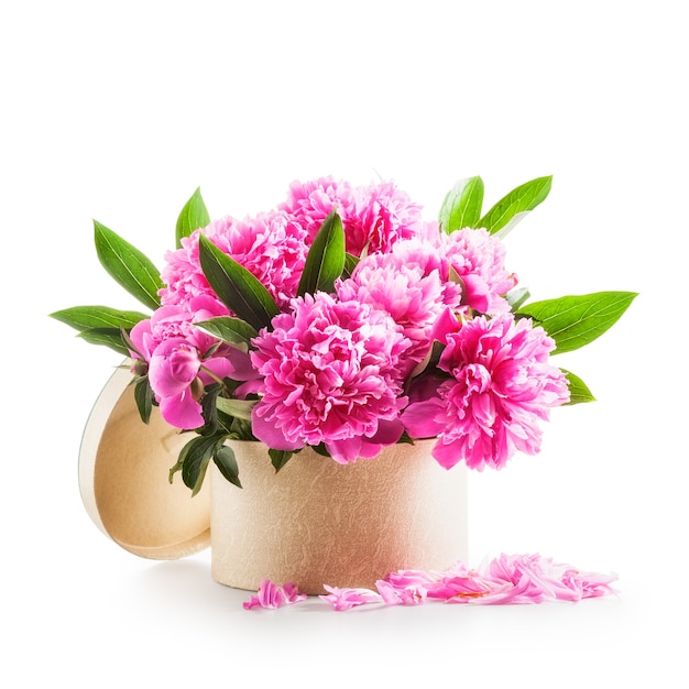 Flores de peonía Ramo romántico de peonías rosas en caja de regalo aislado sobre fondo blanco.