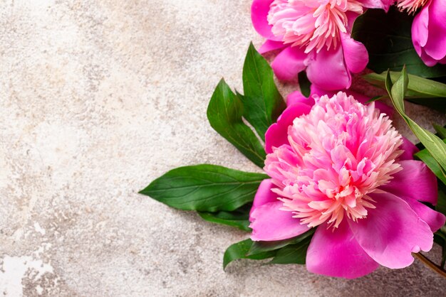 Flores de peonía rosa en el suelo.