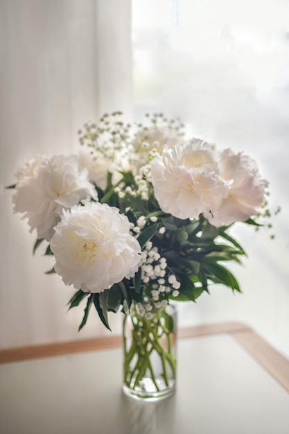 Flores de peonías blancas con Gypsophila en jarrón sobre fondo blanco.